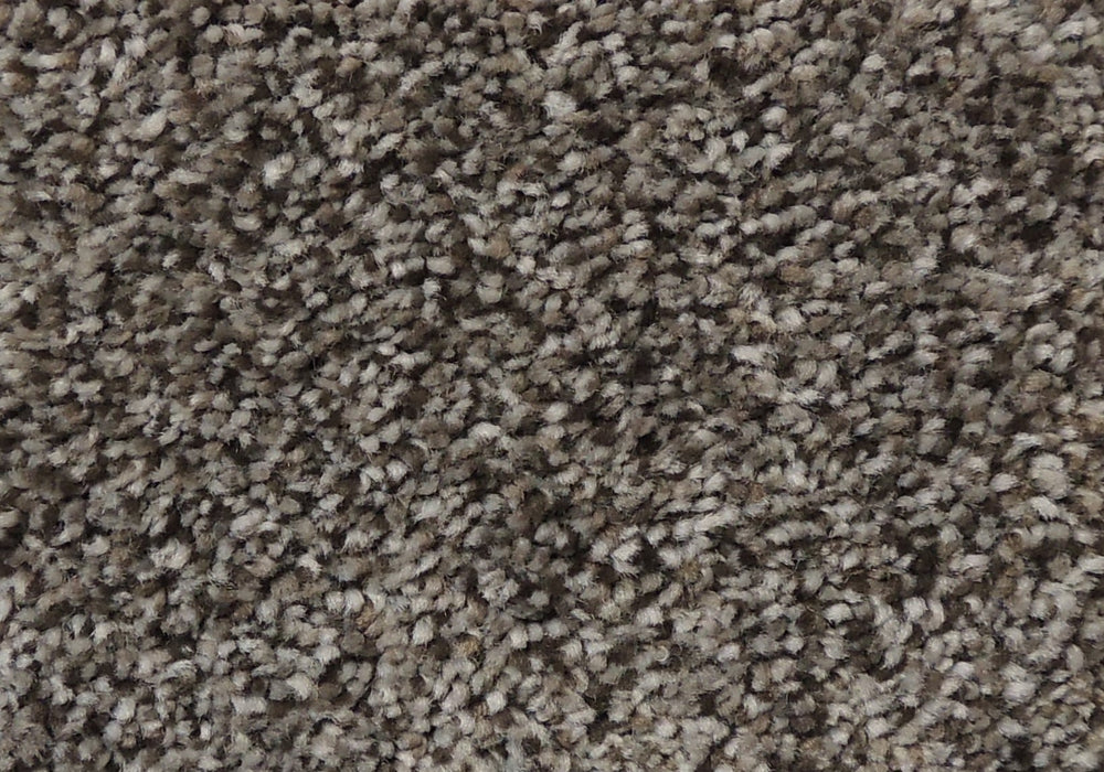 Better Carpet 85