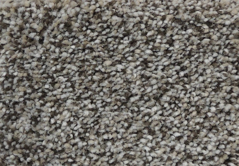 Better Carpet 85