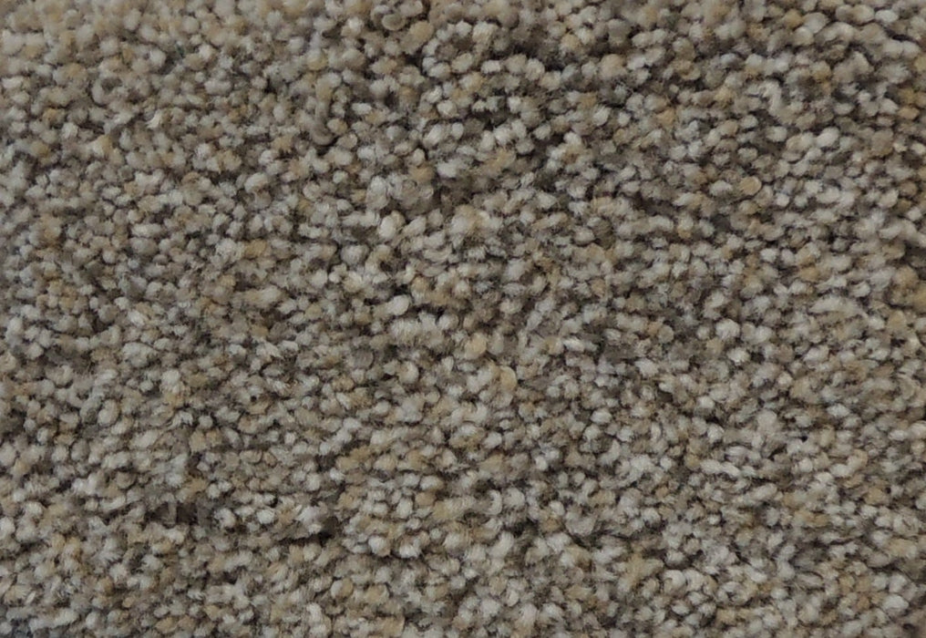 Better Carpet 85