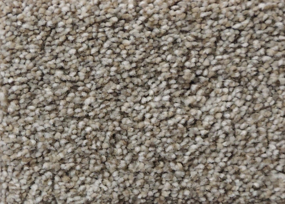 Better Carpet 85