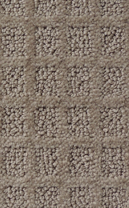 Good Carpet 65