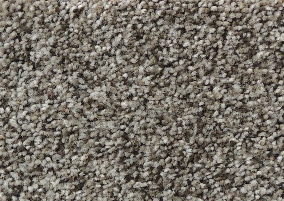 Better Carpet 85